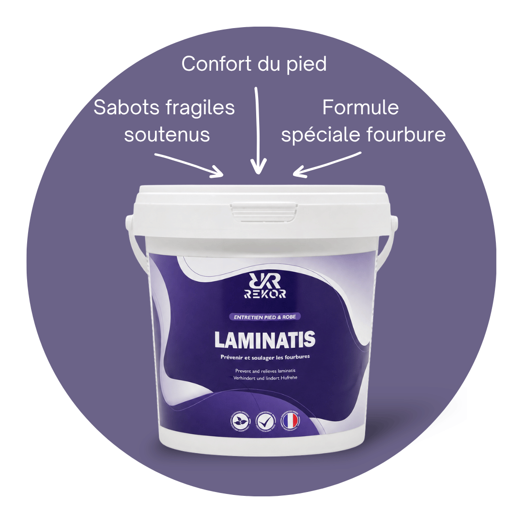 Laminatis