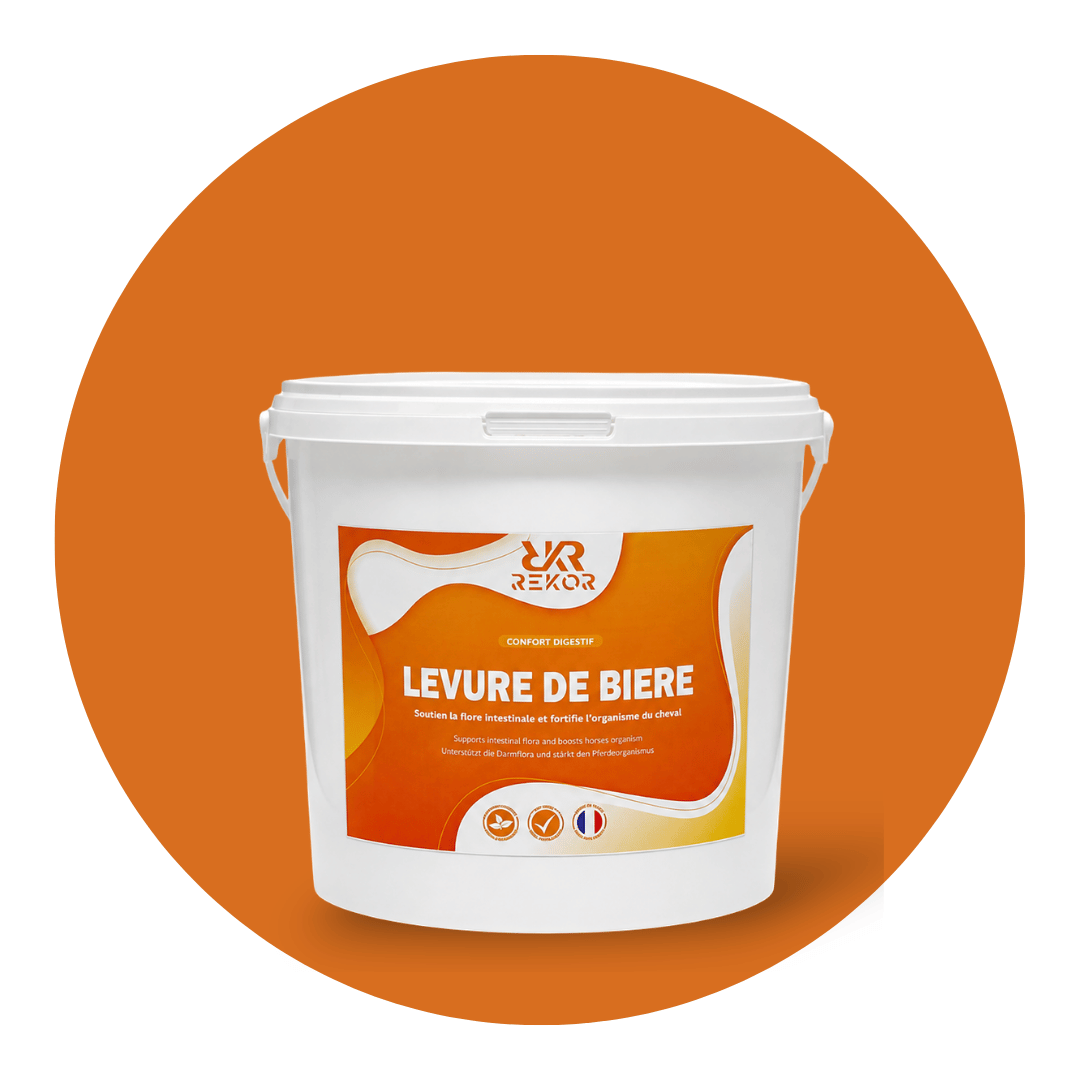 Levure de Bière