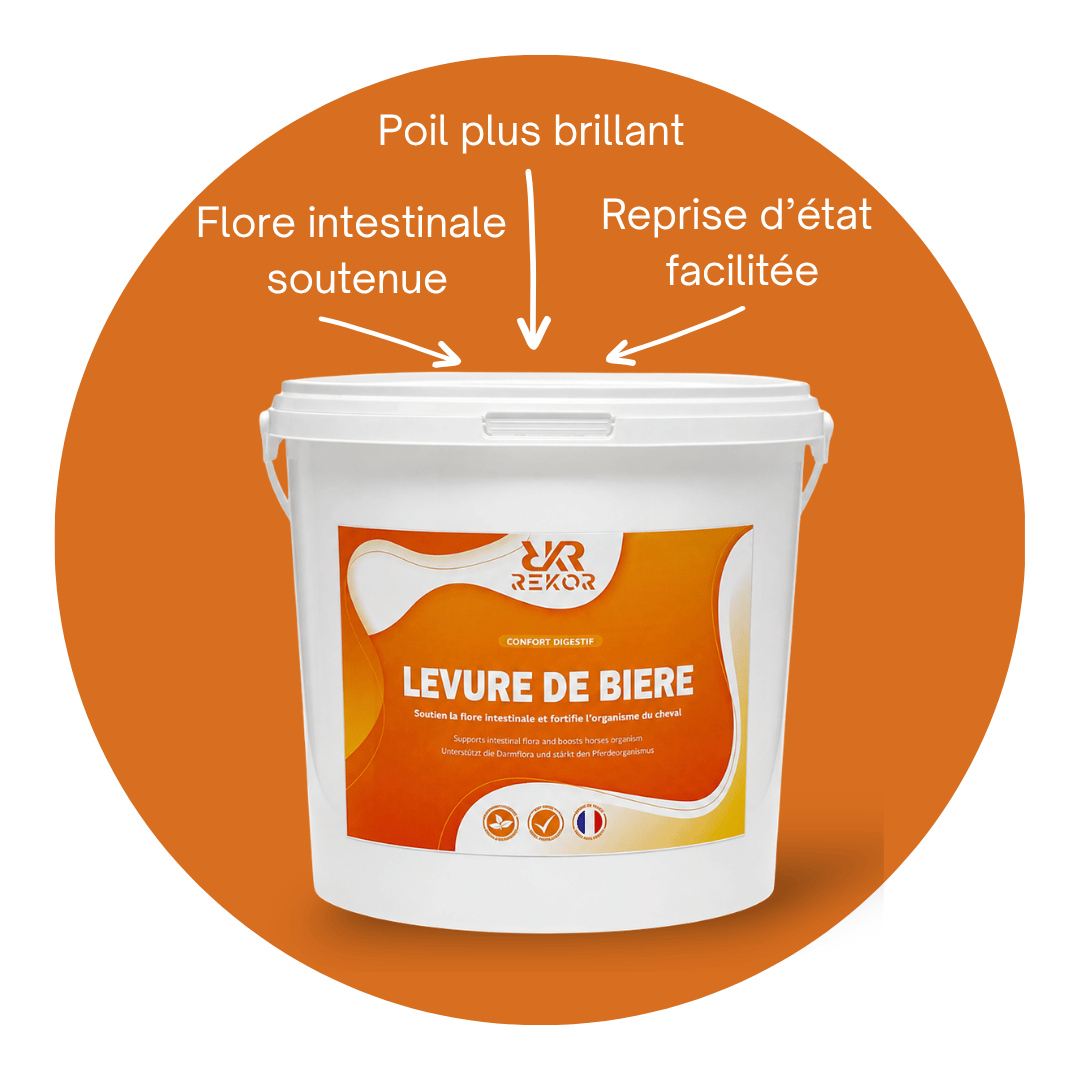 Levure de Bière