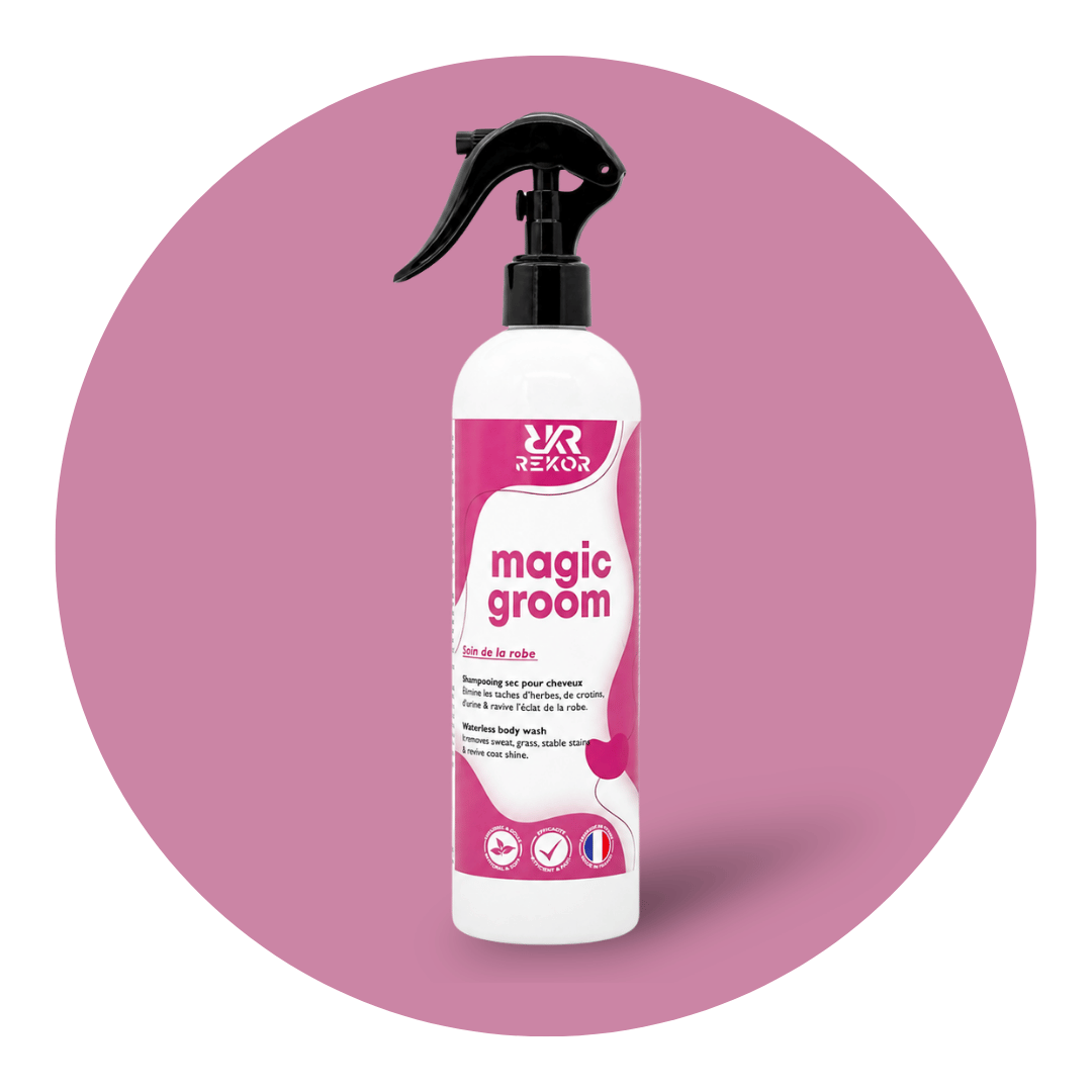 Magic Groom