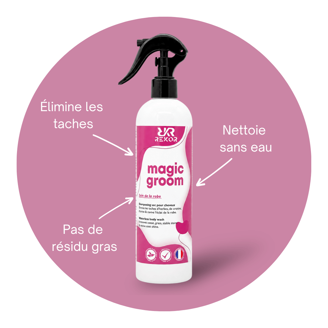 Magic Groom