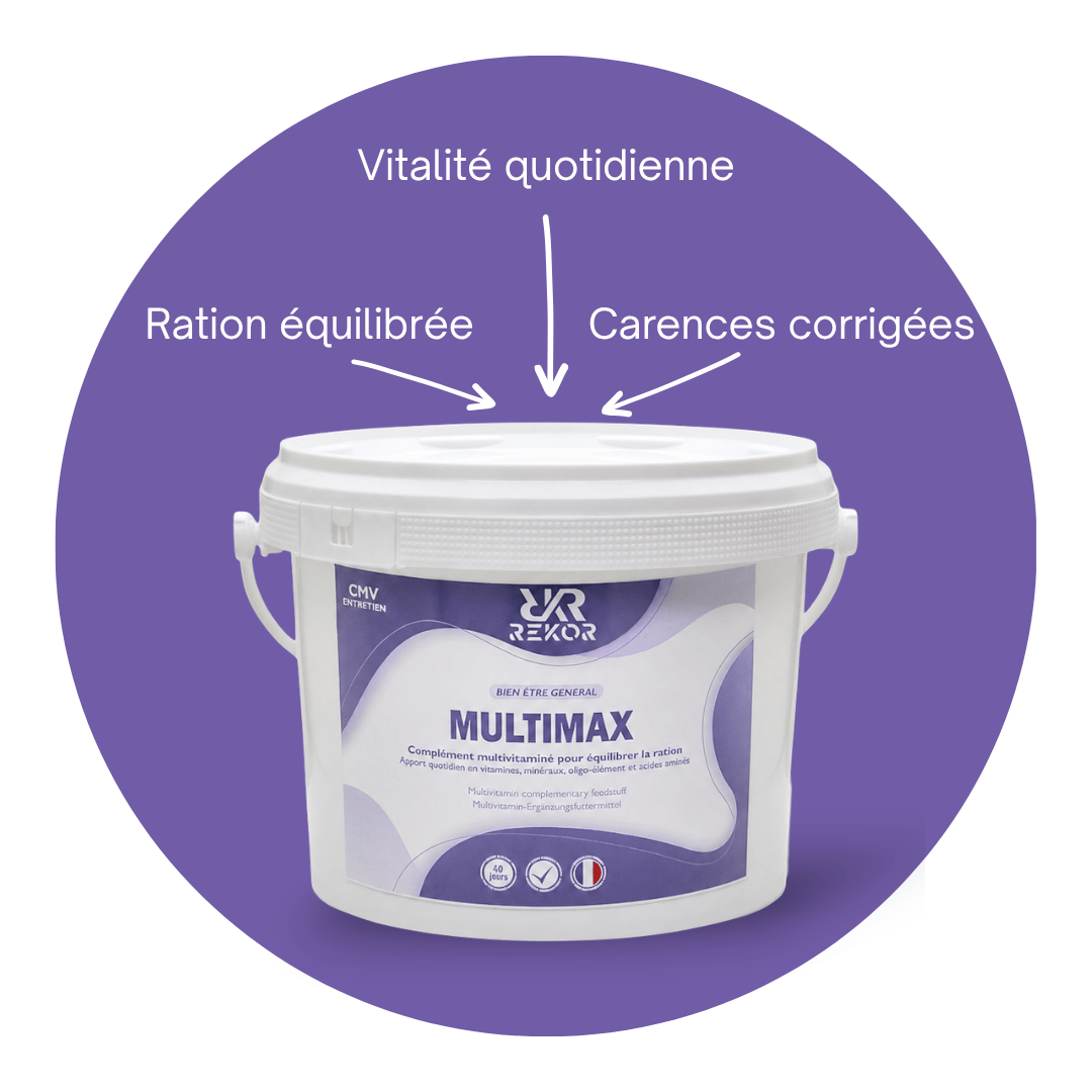 Multimax