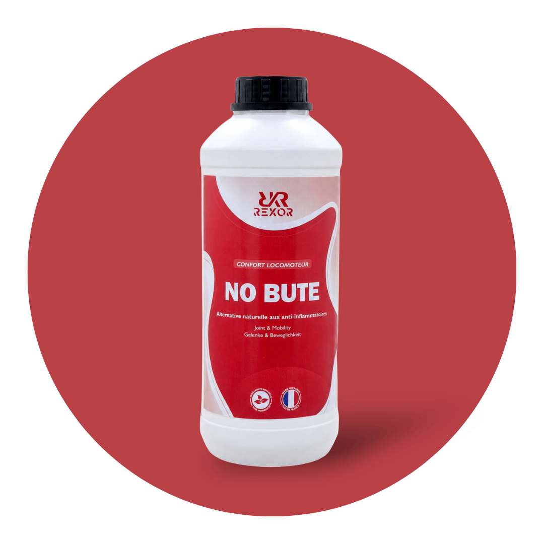 No Bute