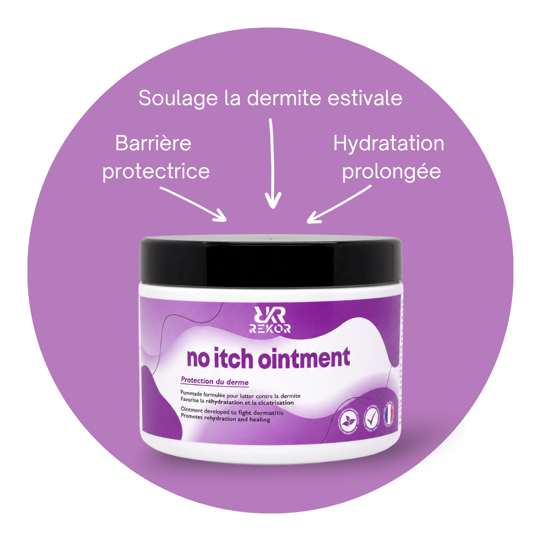 No Itch Ointment