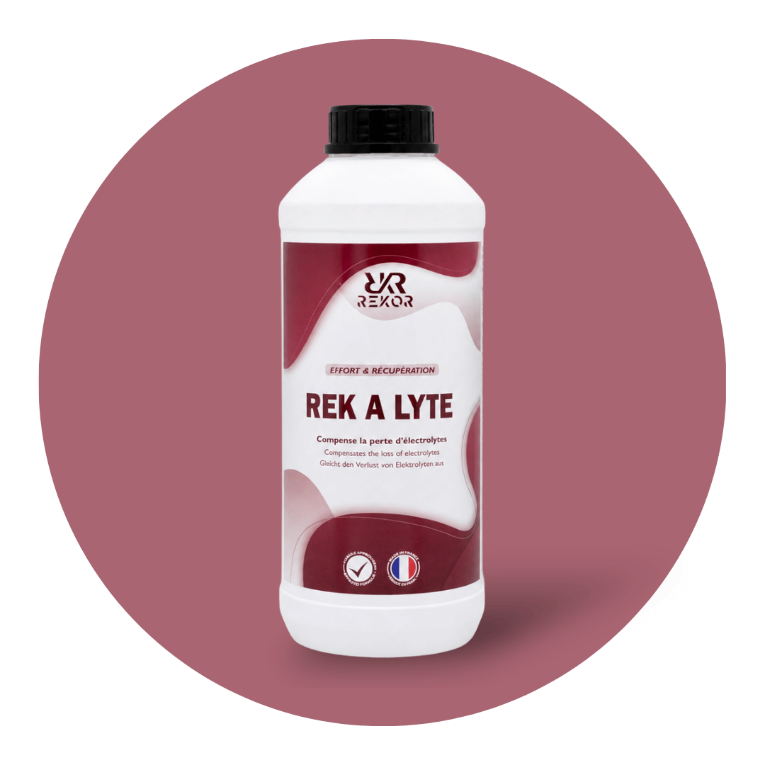 Rek a Lyte