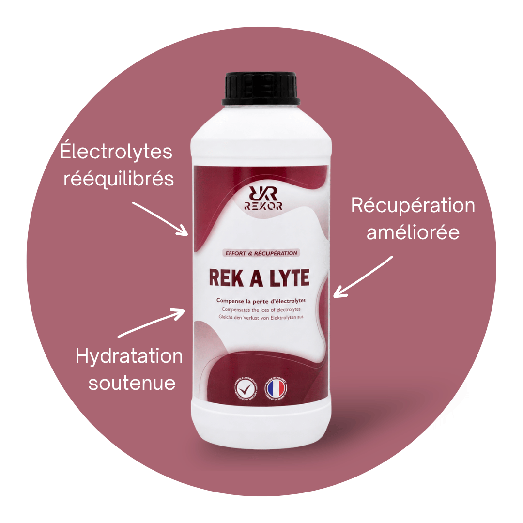 Rek a Lyte