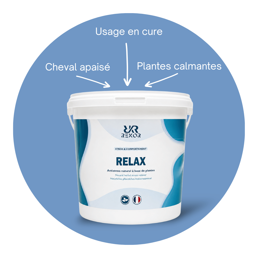Relax