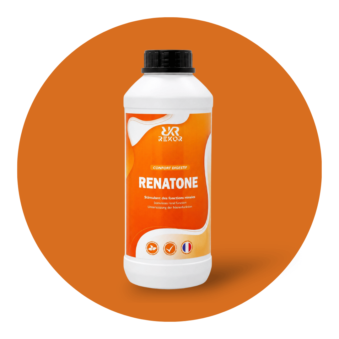 Renatone