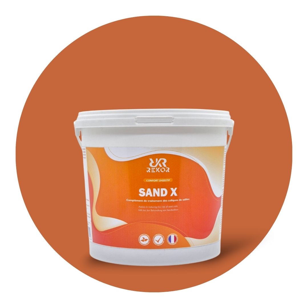 Sand X