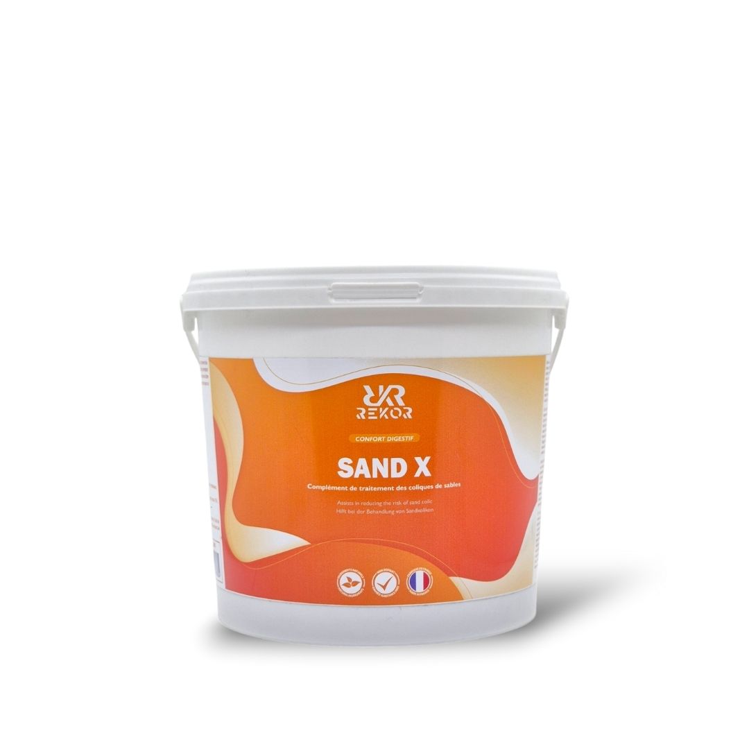 Sand X