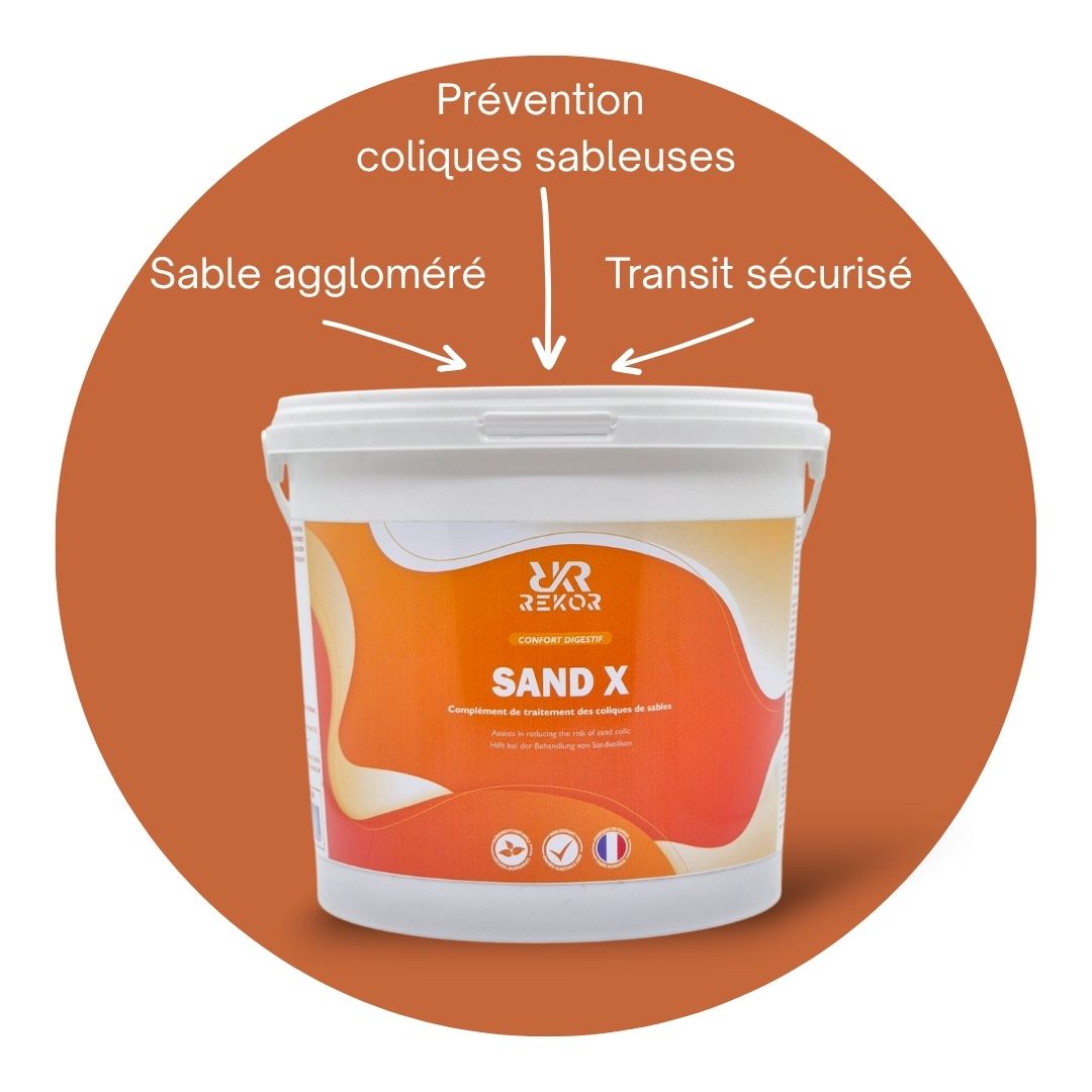 Sand X