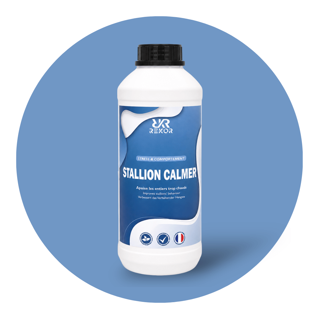 Stallion Calmer