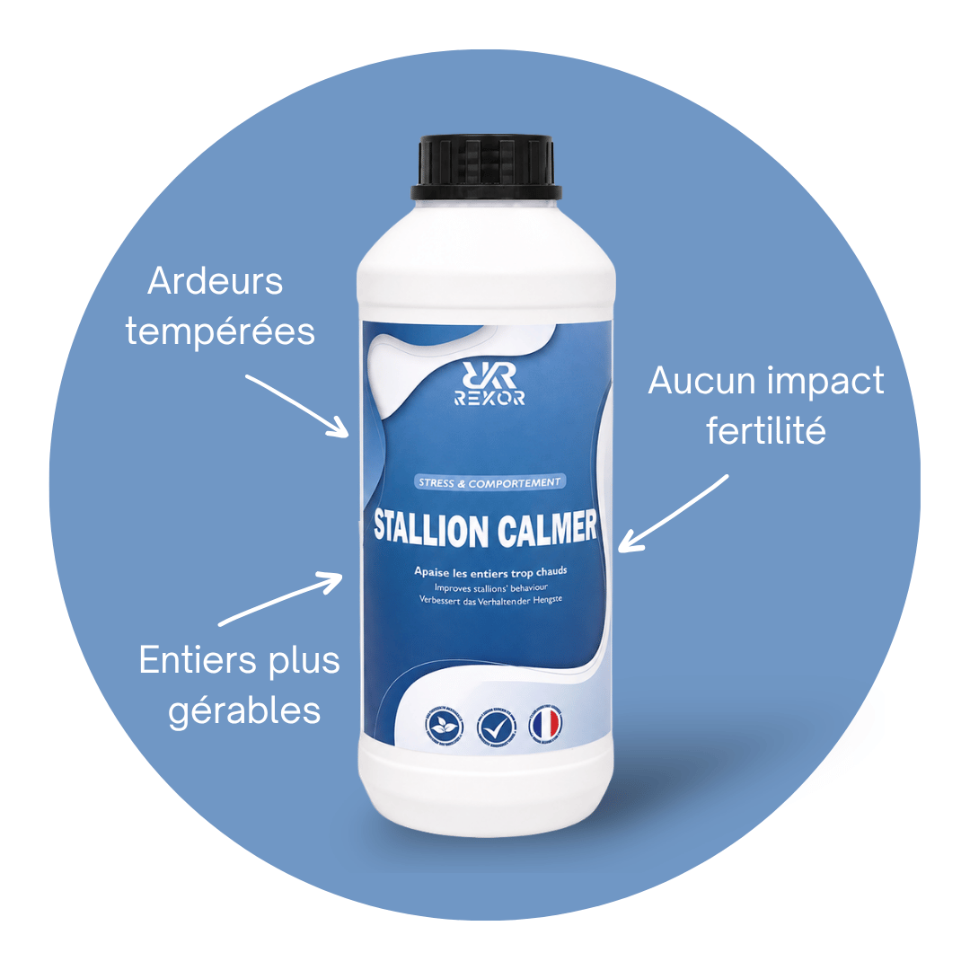Stallion Calmer