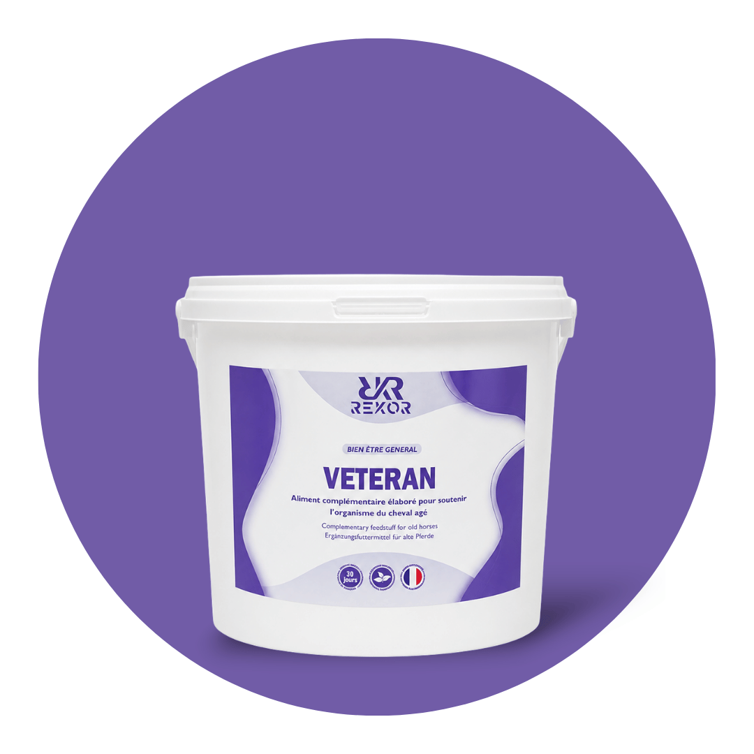 Veteran