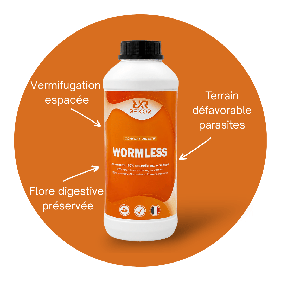 Wormless