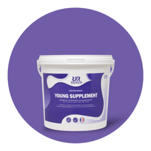 Young Supplement