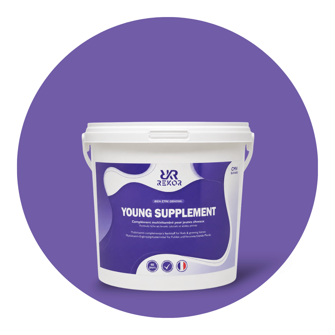 Young Supplement