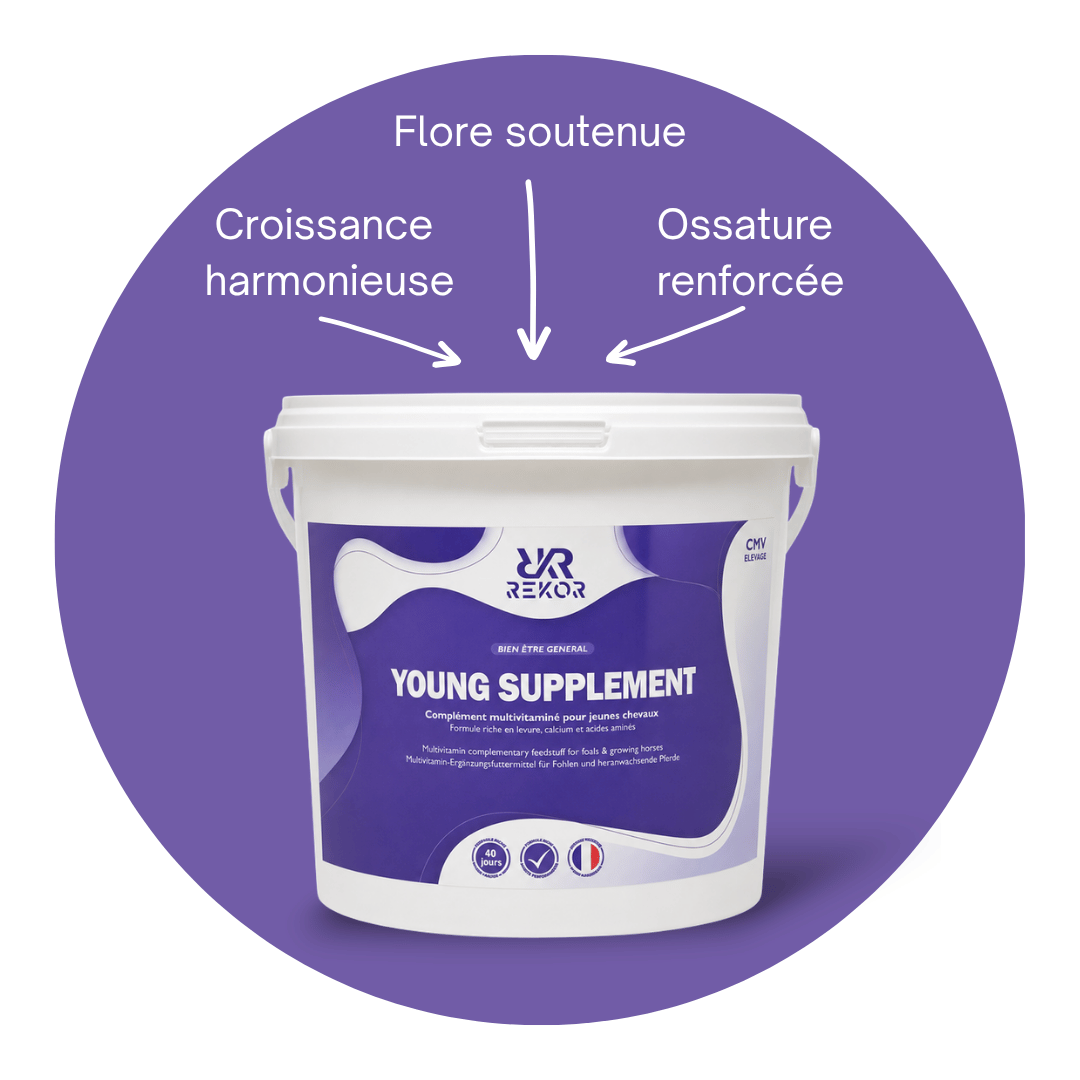 Young Supplement