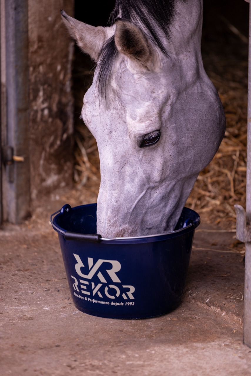 Seau Rekor 16L