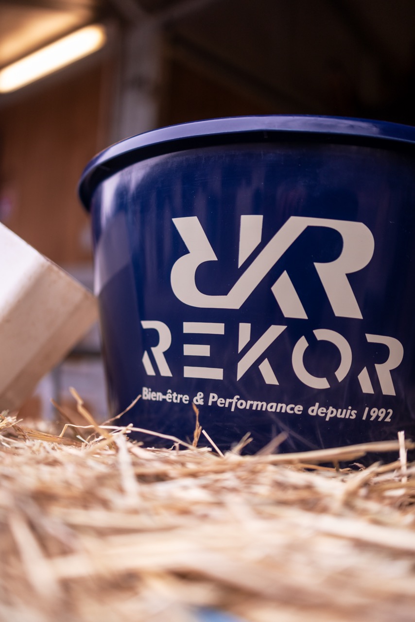 Seau Rekor 16L