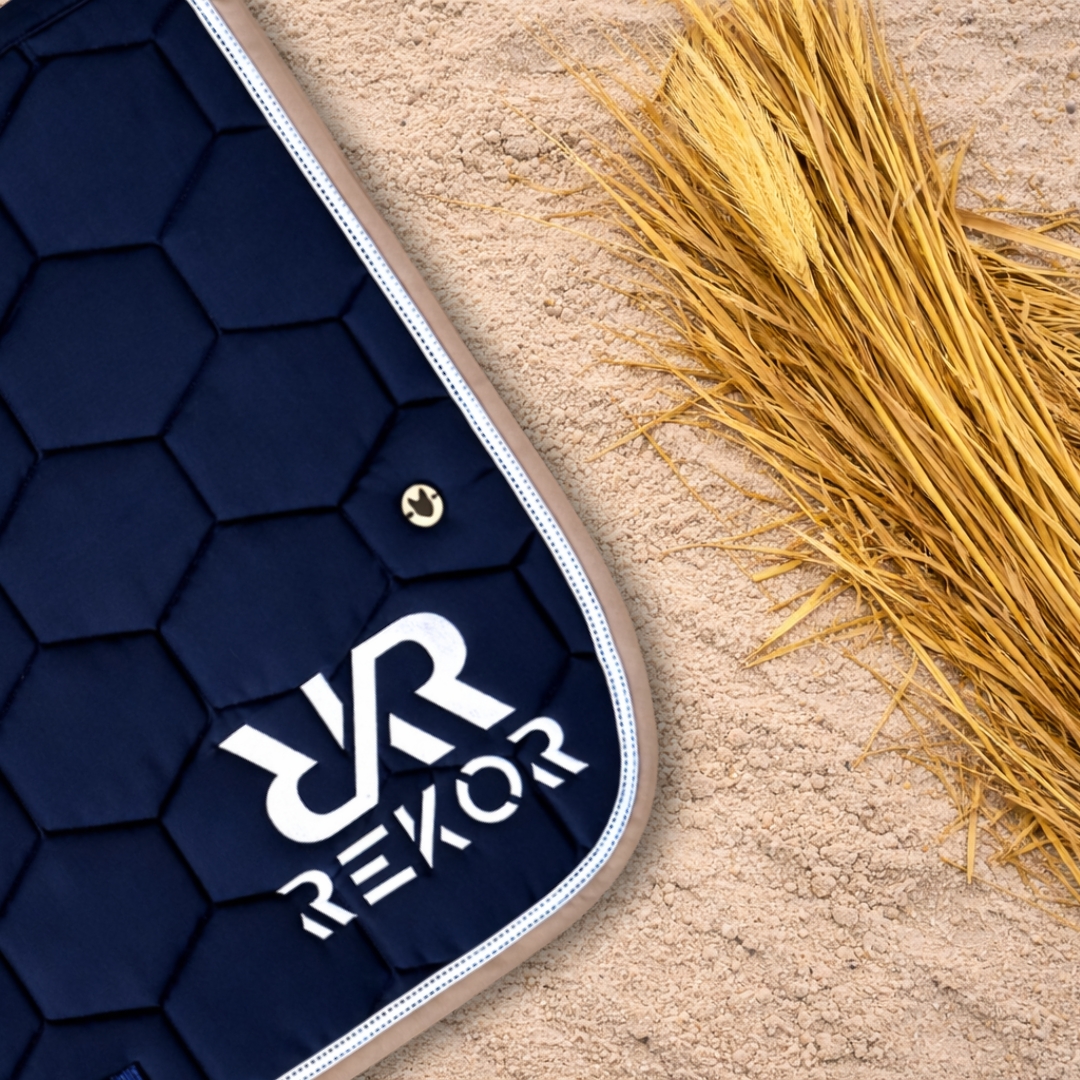 Tapis Marine Et Grège