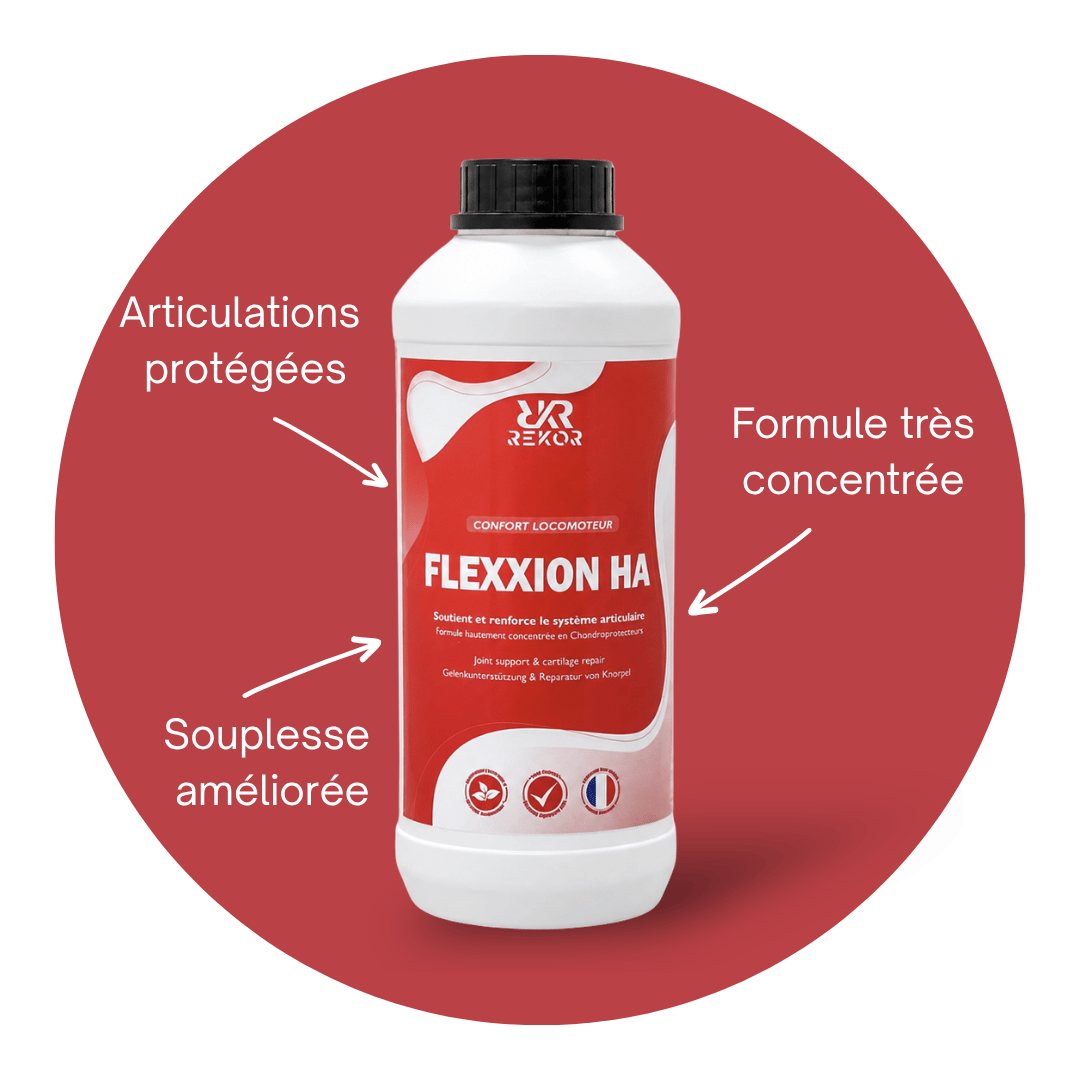 Flexxion HA