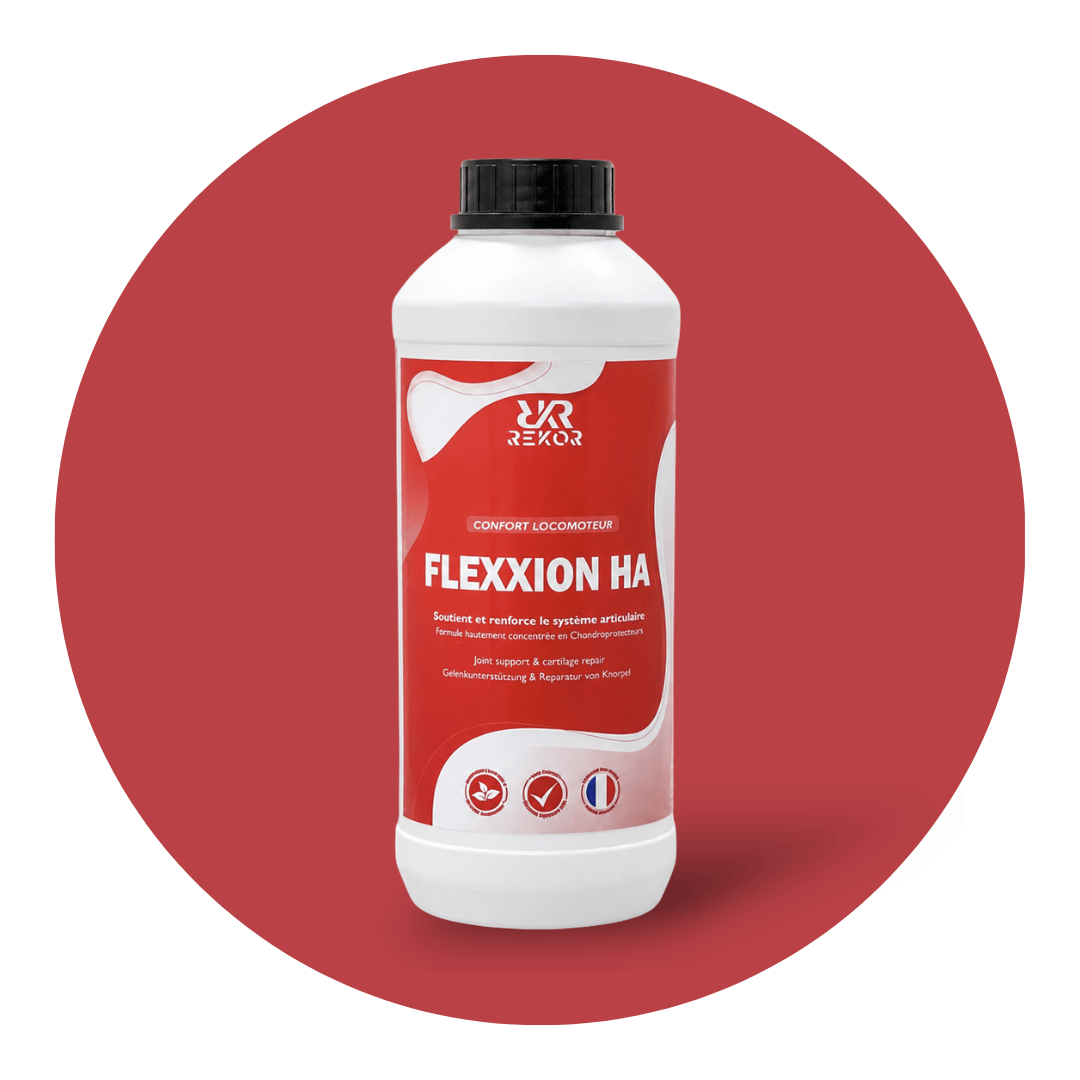 Flexxion HA
