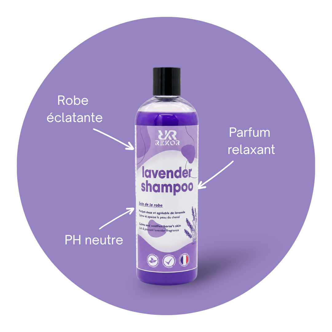 Lavender Shampoo