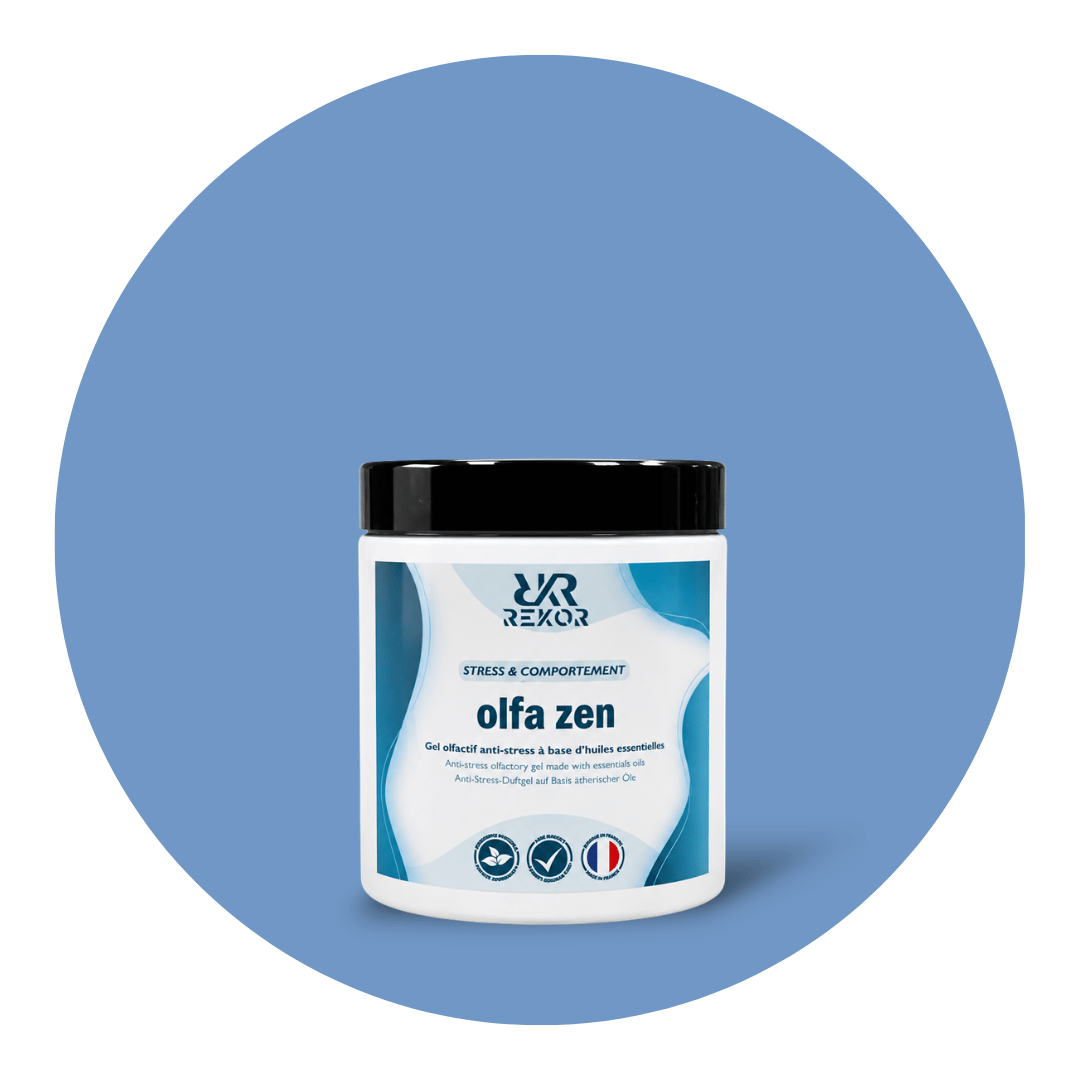 Olfa Zen