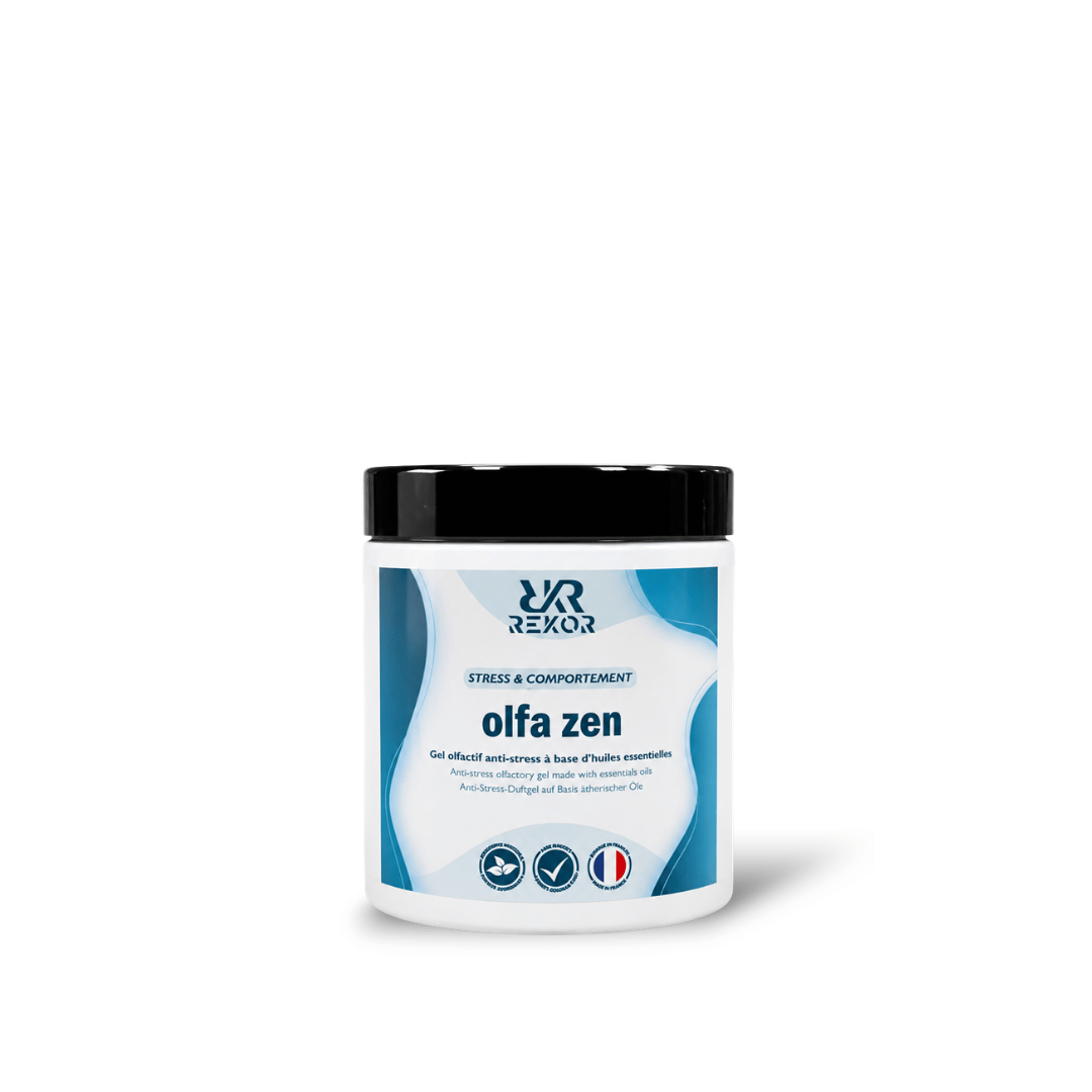 Olfa Zen