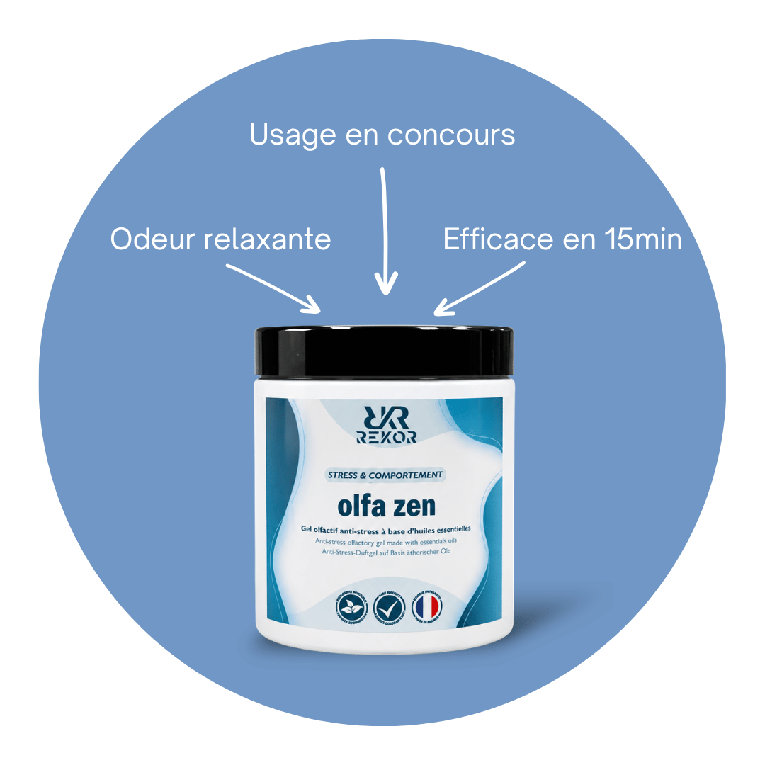 Olfa Zen
