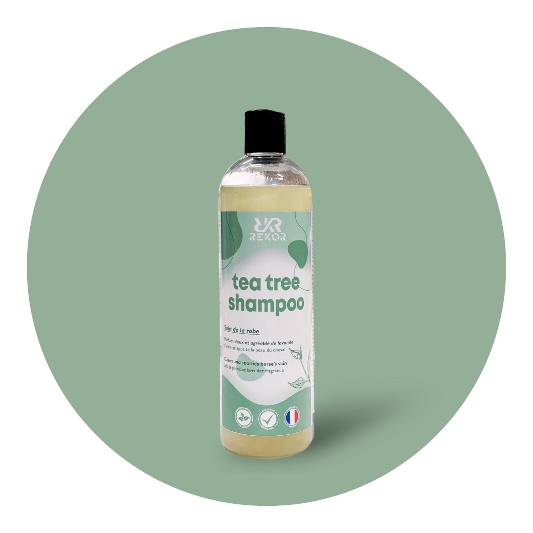 Tea Tree Shampoo