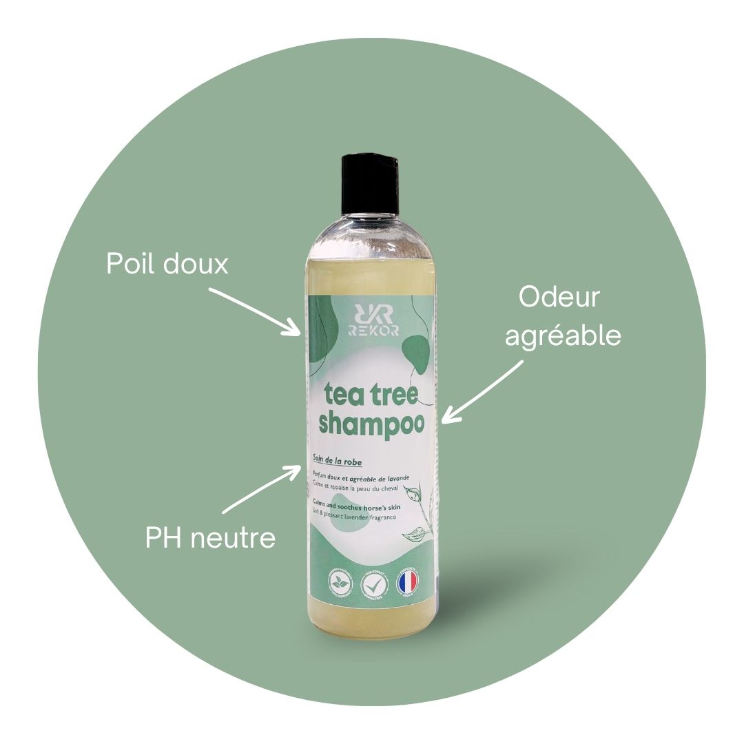 Tea Tree Shampoo