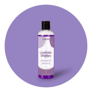 Lavender Shampoo