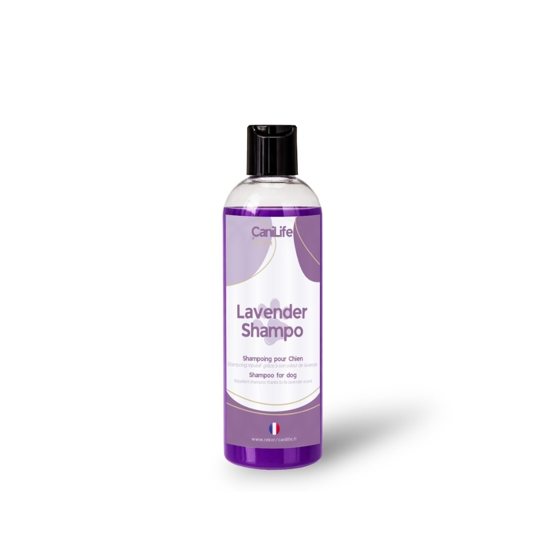 Lavender Shampoo