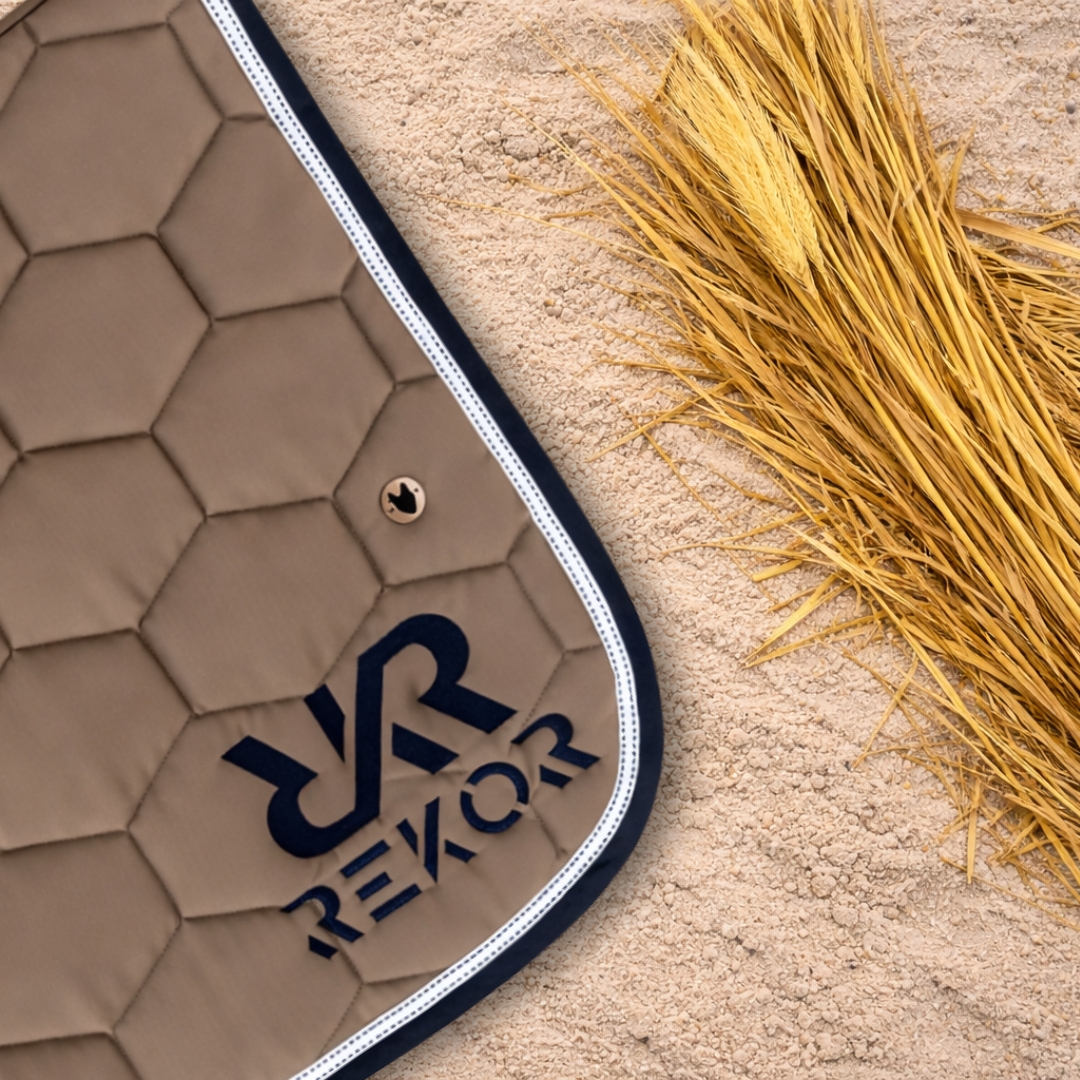 Tapis Grège Et Marine