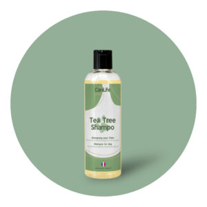 Tea Tree Shampoo