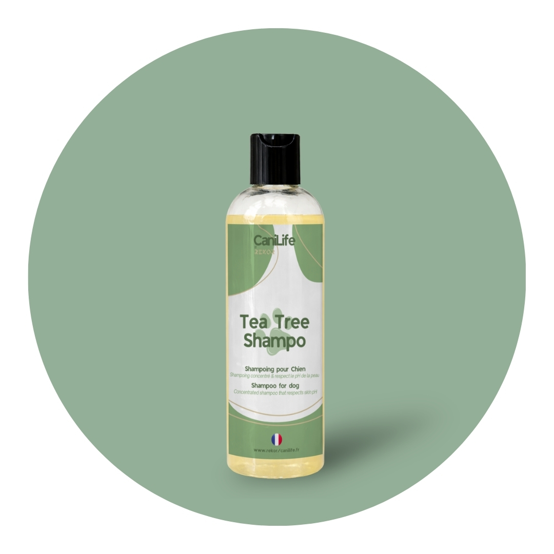 Tea Tree Shampoo