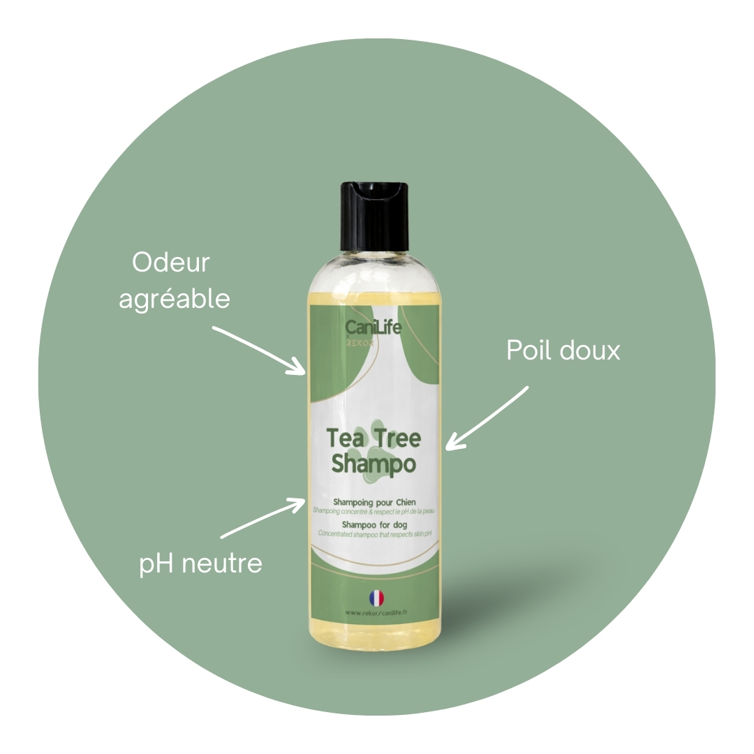 Tea Tree Shampoo