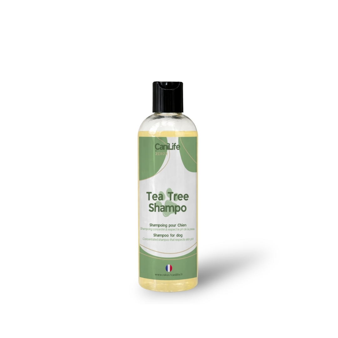 Tea Tree Shampoo