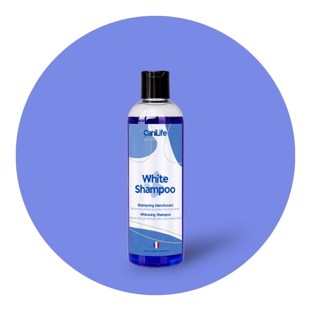 White Shampoo