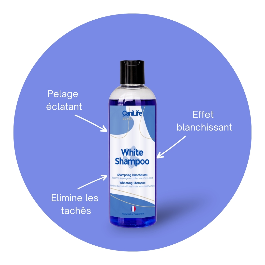 White Shampoo